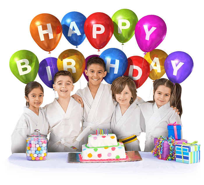 Star Martial Arts Birthday Parties in Elkhart and